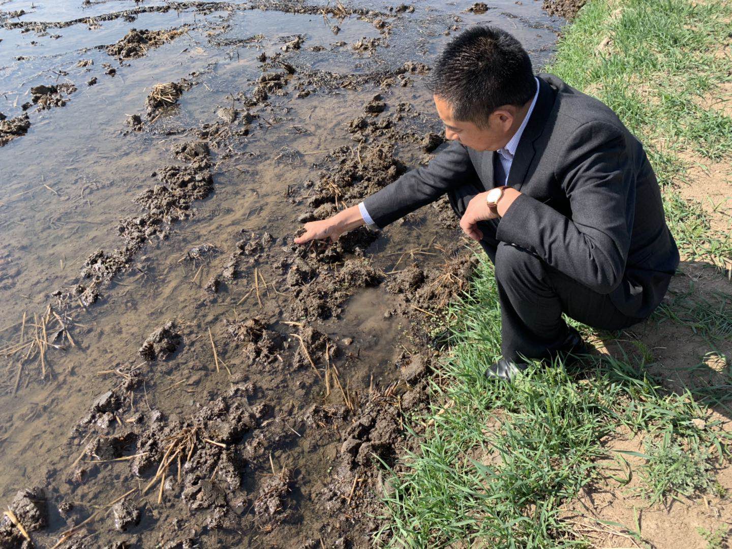 志广麻豆蜜桃国产精品无码视频软件总经理吴志广再”北上“——此站，吉林